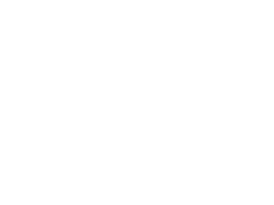 2CV&CO Logo