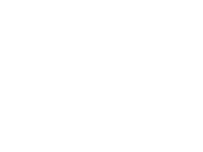 Ecco La Luna Logo