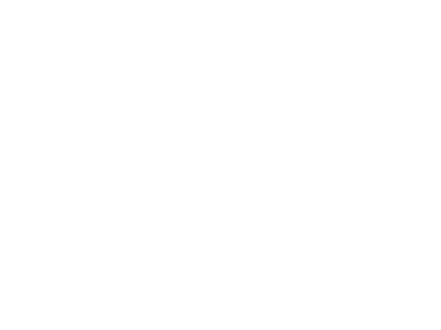 Original Spot Design Logo