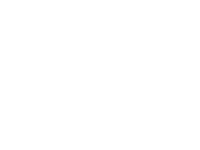 Saint-Gobain Weber Beamix Logo